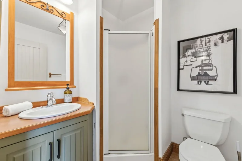 234 Ch. de la Forêt, Apt. 4, Mont-Tremblant, QC J8E3K3, Mont-Tremblant, Quebec, Canada. - Photo 22