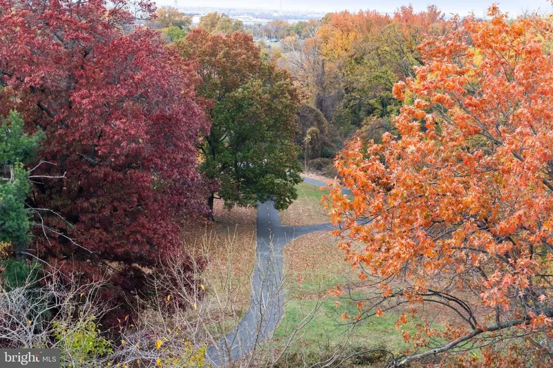 625 SLATERS LN, Alexandria, Virginia, United States. - Photo 28