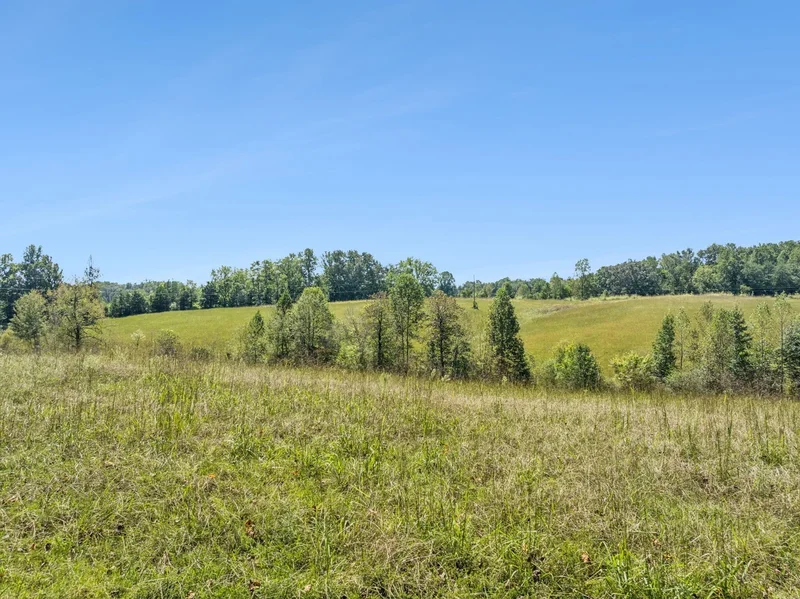8272 Burgess Falls Rd, Baxter, Tennessee, United States. - Photo 4