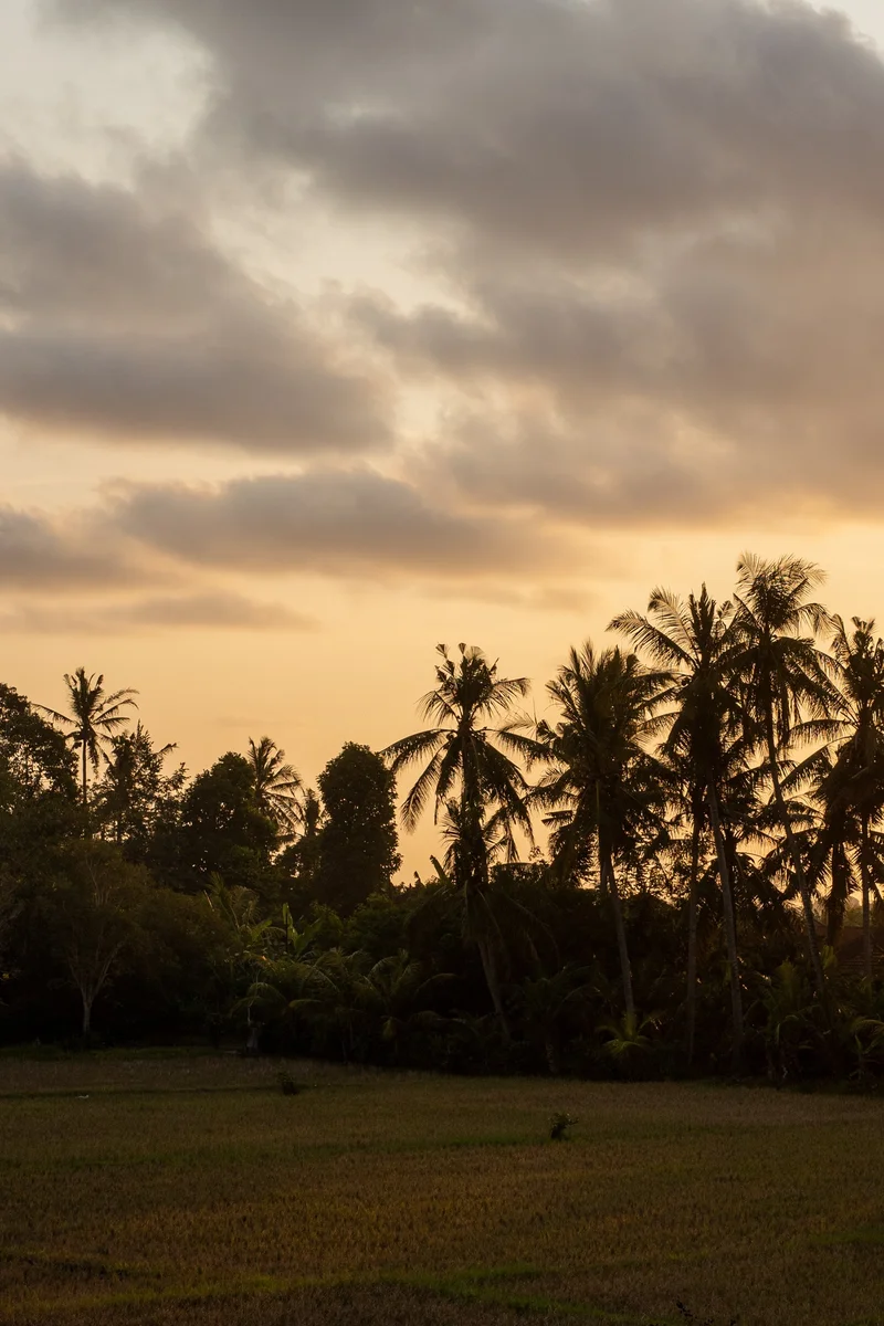 Kediri, Tabanan Regency, Bali, Indonesia, Bali, Indonesia. - Photo 18