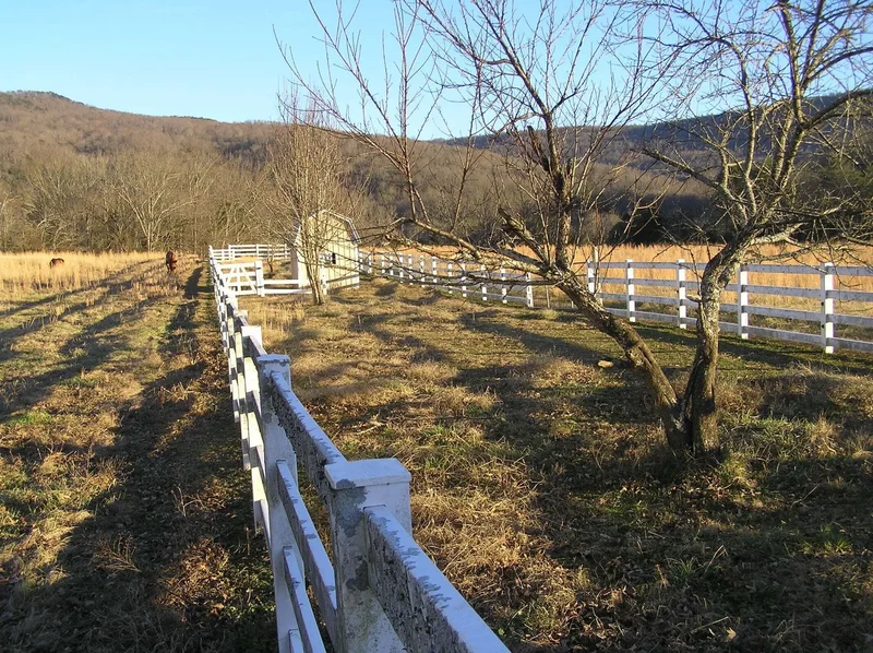 4114 Lower East Valley Rd, Dunlap, TN 37327, Dunlap, Tennessee, United States. - Photo 68