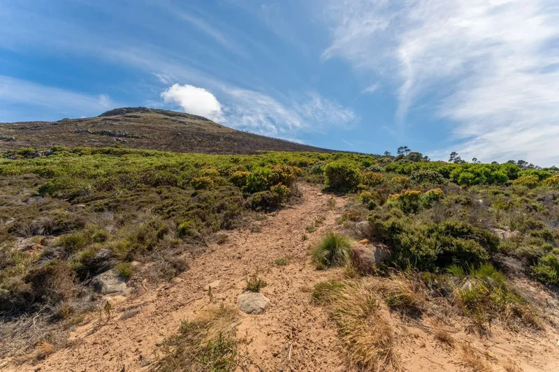 Cape Town, Western Cape, South Africa. - Photo 7