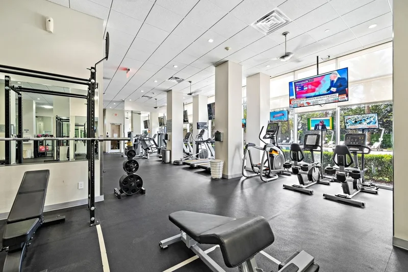 3333 Allen Parkway 2006, Houston, Texas, United States. - Photo 9