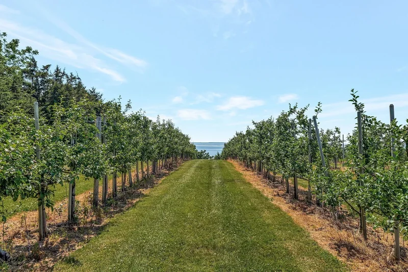 657 Bongards Cross Rd, Prince Edward County, ON K0K 2T0, Prince Edward, Ontario, Canada. - Photo 2