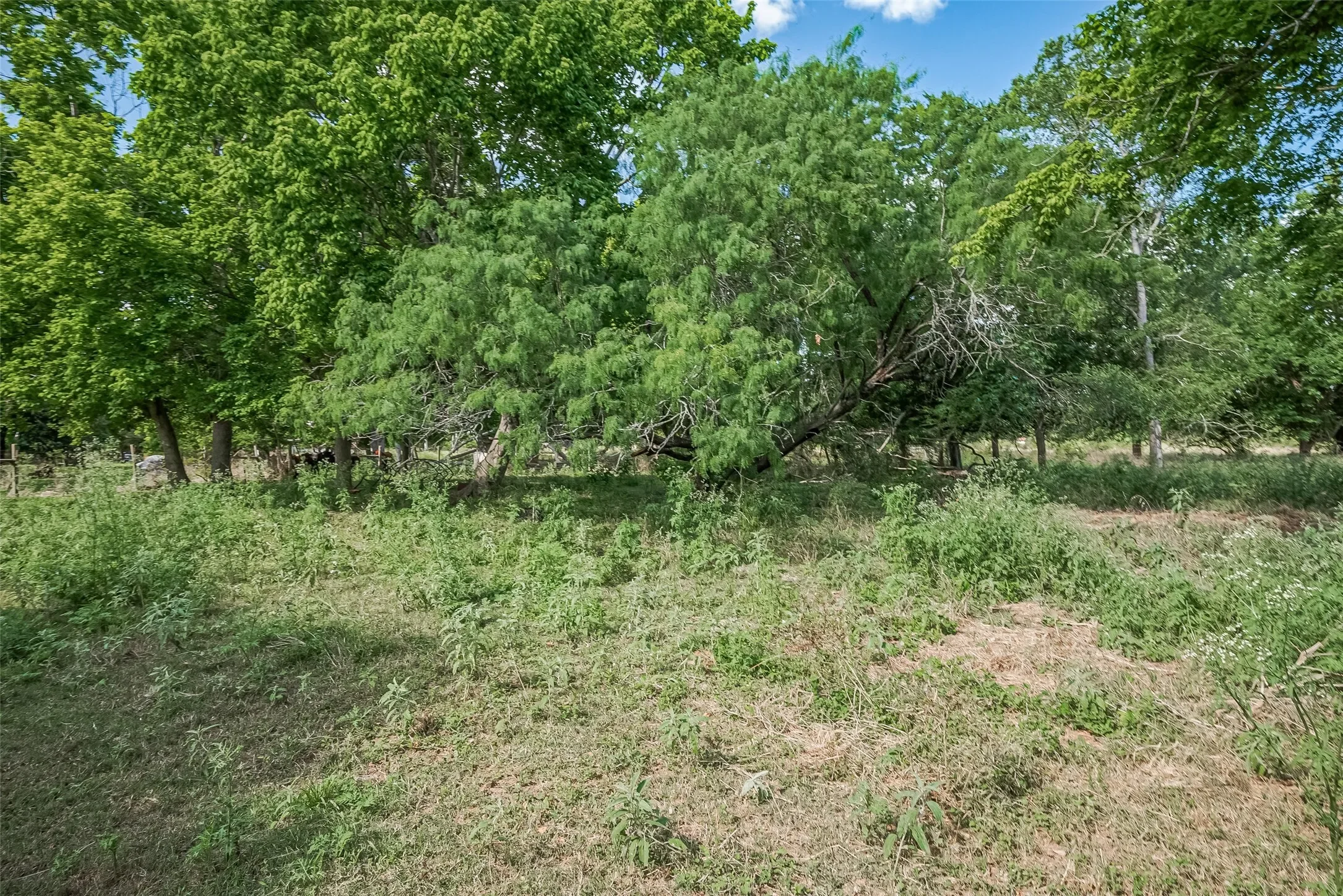 2511 Hartwell Road, Brookshire, TX 77423, Brookshire, Texas, United States. - Photo 22