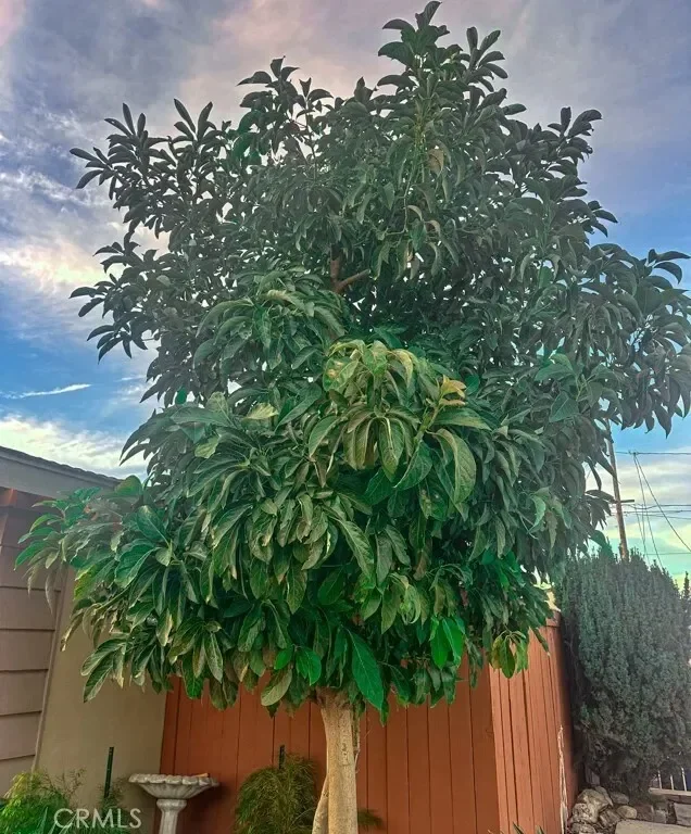2425 Heather Avenue, Signal Hill, California, United States. - Photo 56