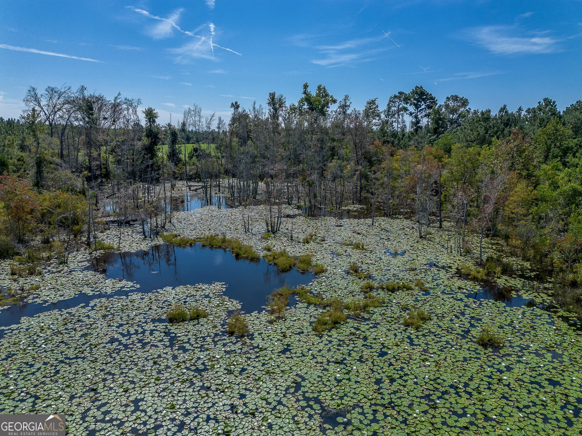0 Rhonda Coleman, Hazlehurst, GA 31539, Hazlehurst, Georgia, United States. - Photo 35