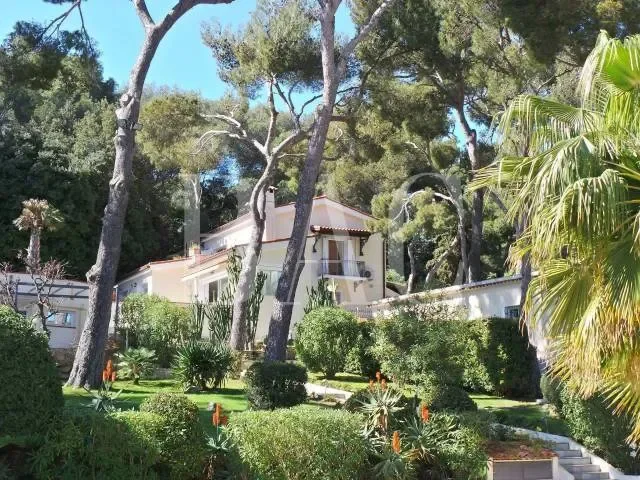 Saint-Jean-Cap-Ferrat, Provence-Alpes-Côte d'Azur, France. - Photo 7