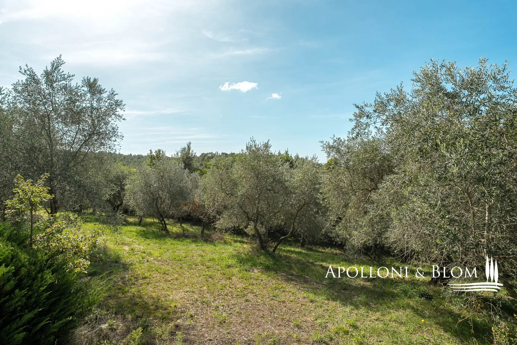 Tuscany, Italy. - Photo 11
