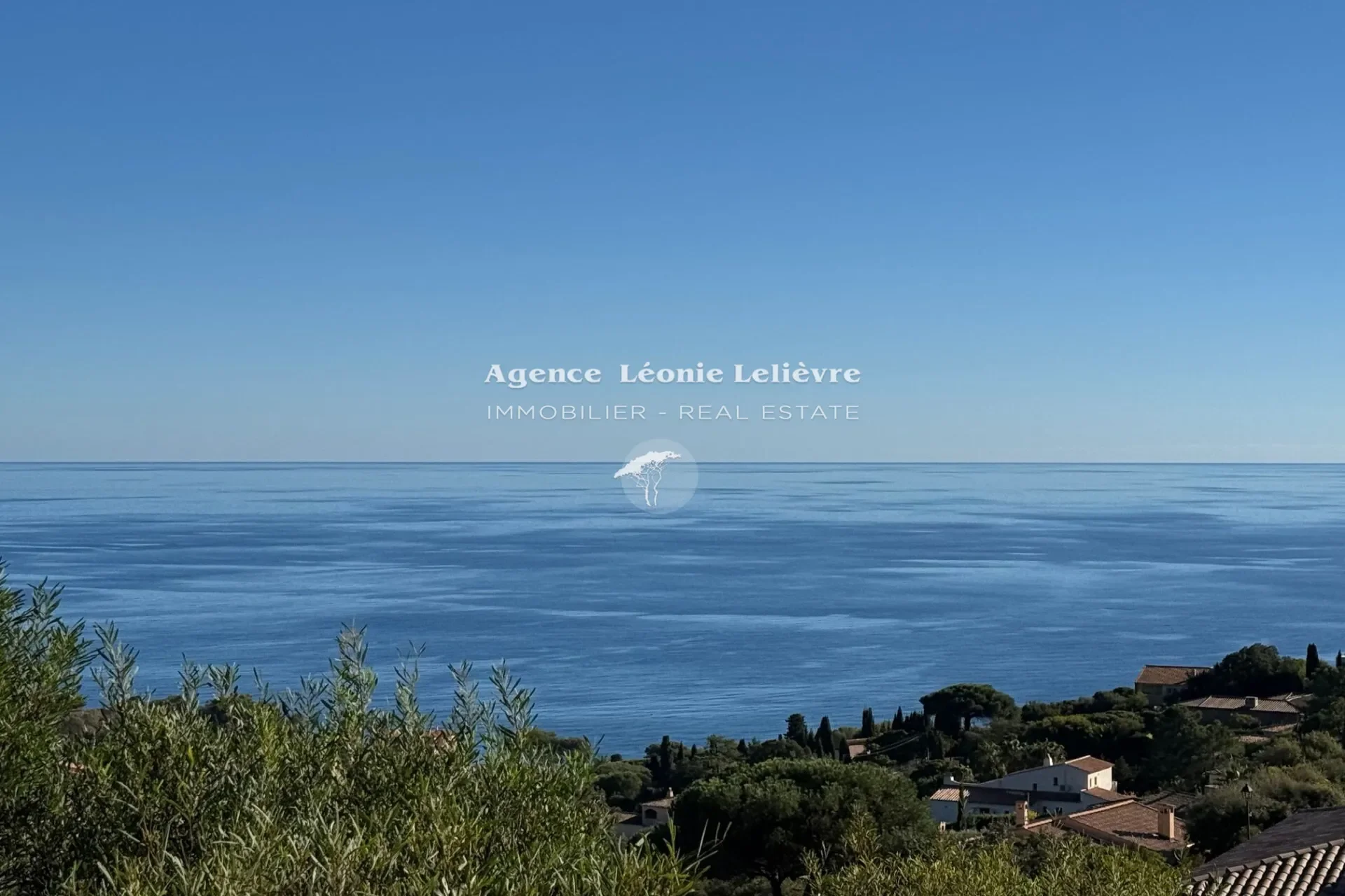 Roquebrune-sur-Argens, Provence-Alpes-Côte d'Azur, France. - Photo 3