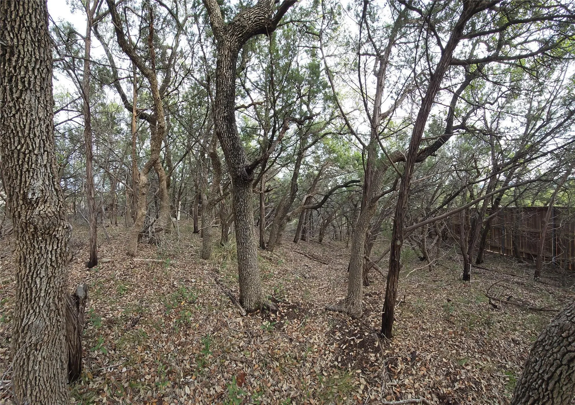 15101 Foy DR, Austin, Texas, United States. - Photo 33