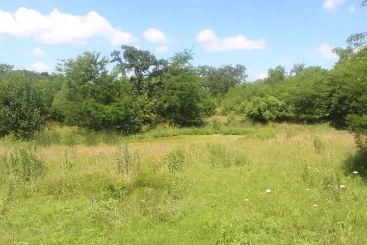 3176 S 170th Road, Polk, MO 65727, Bolivar, Missouri, United States. - Photo 74