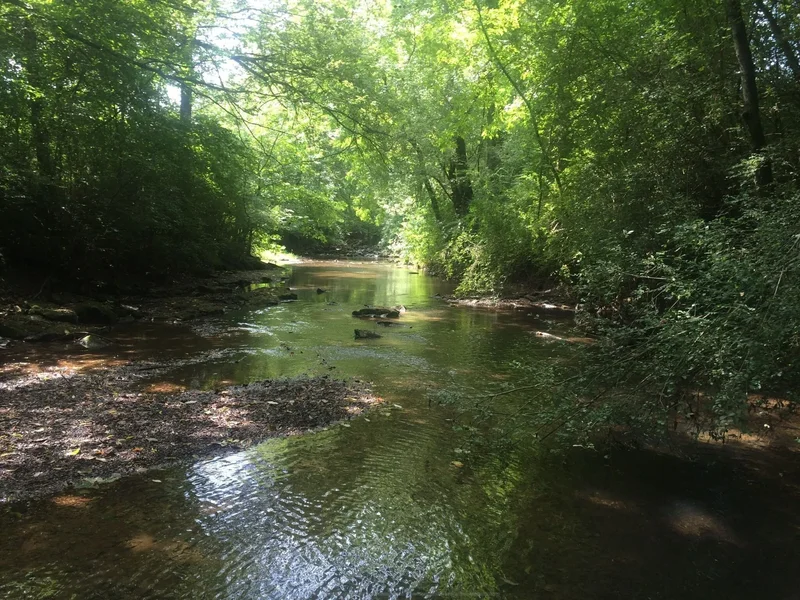170 Rodeo Dr, Columbia, TN 38401, Columbia, Tennessee, United States. - Photo 58