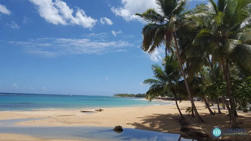 Las Terrenas, Las Terrenas, Las Terrenas, Samaná Province, Dominican Republic. - Photo 15