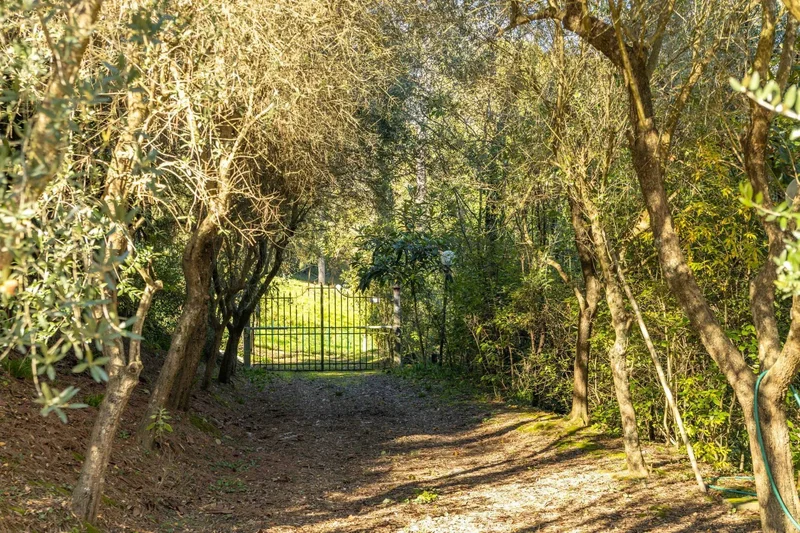 Loalità Canonica, Montefalconi, Tuscany, Italy. - Photo 20