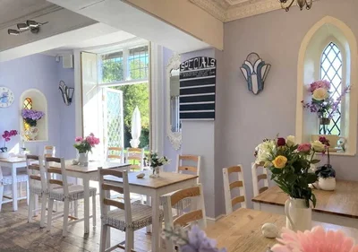 Thumbnail 19