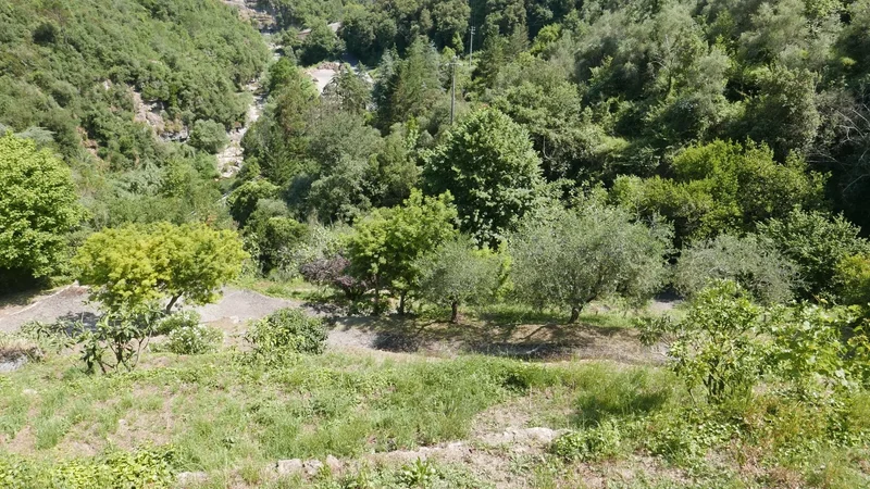Dolceacqua, Liguria, Italy. - Photo 17