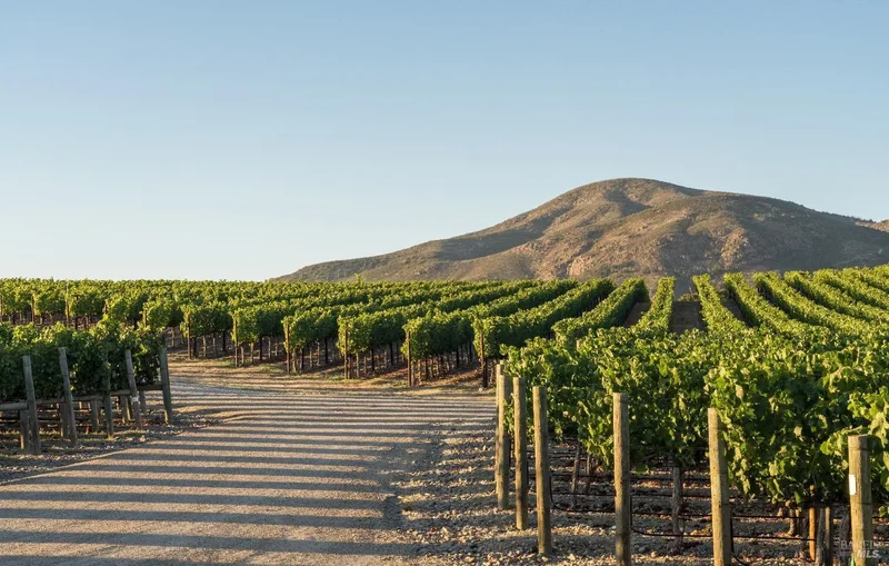 2181 3rd Avenue, Napa, CA 94558, Napa, California, United States. - Photo 119