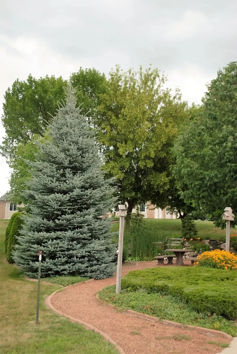 766 Kensington, Ripon, WI 54971, Green Lake, Wisconsin, United States. - Photo 15