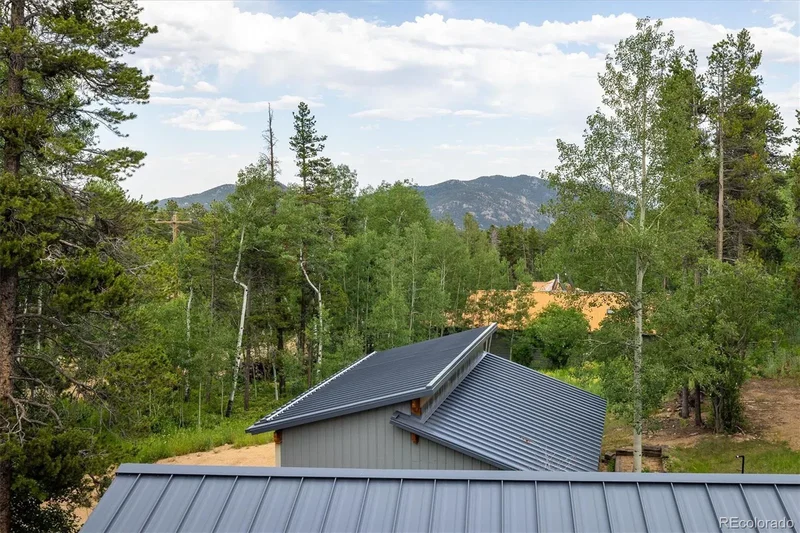713 Rudi Lane, Gold Hill, Colorado, United States. - Photo 24
