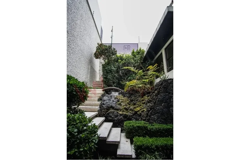 Gallery photo 6
