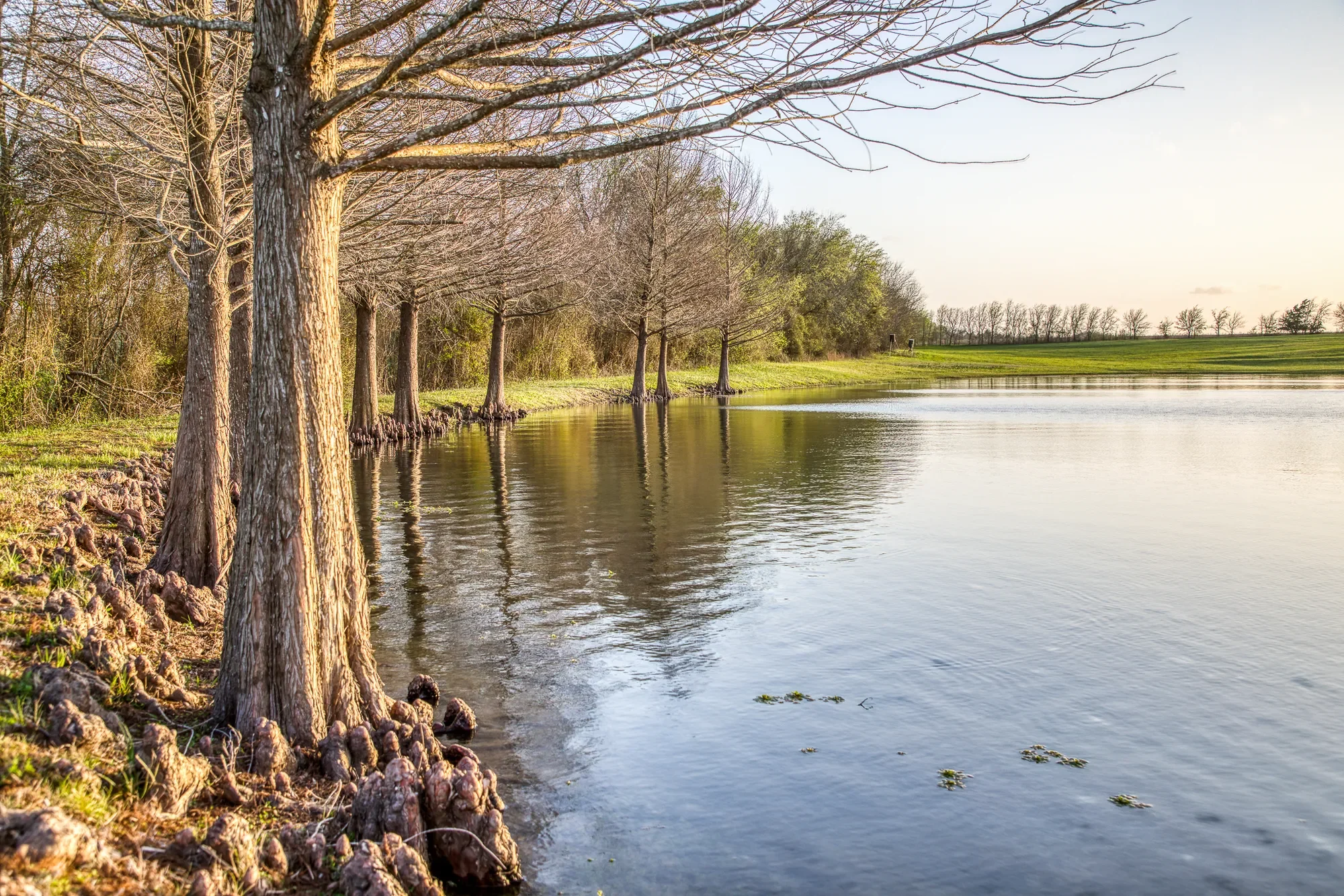 20383 State Highway 159 W , New Ulm, TX 78950-5011, New Ulm, Texas, United States. - Photo 53