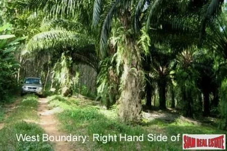 Phang Nga,, Phang-nga, Thailand. - Photo 1