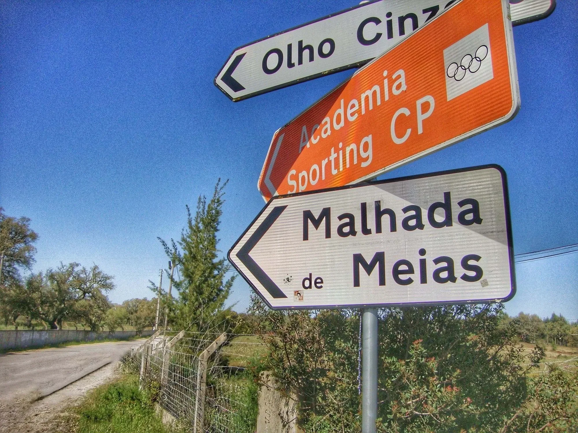 Setúbal, Alcochete, Setubal, Portugal. - Photo 17