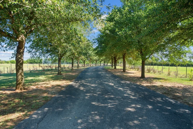 31772 W Fm 8, Dublin, TX 76446, Dublin, Texas, United States. - Photo 6
