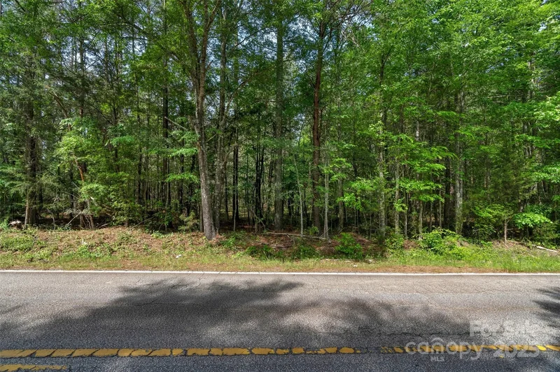 0000 Green Road, Lancaster, SC 29720, Lancaster, South Carolina, United States. - Photo 44