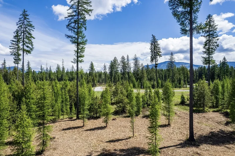 Lot10 BLK2 Leonard Loop, Athol, ID 83801, Moscow, Idaho, United States. - Photo 12