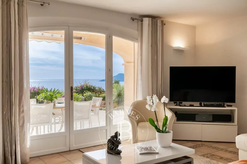 Cannes, Provence-Alpes-Côte d'Azur, France. - Photo 14