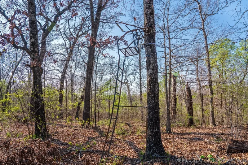 8 S 4530 Road, Eucha, OK 74342, Old Eucha, Oklahoma, United States. - Photo 31