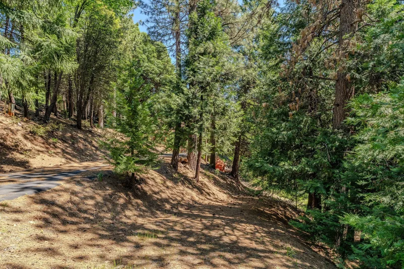 18720 Circle View Drive , Pioneer, CA 95666, Pioneer, California, United States. - Photo 58