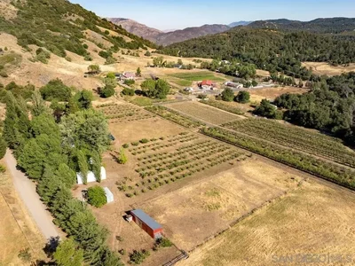 Thumbnail 50