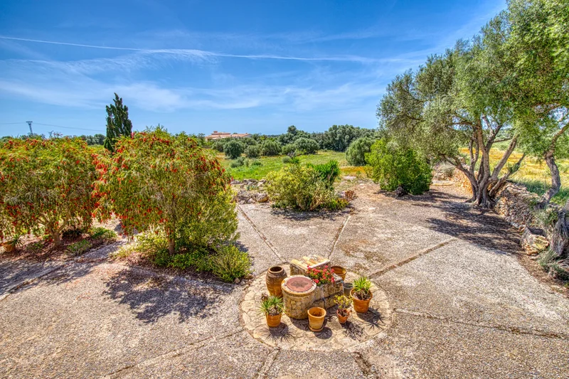 Llucmajor, Mallorca, Llucmajor, Llucmajor, Balearic Islands, Spain. - Photo 12