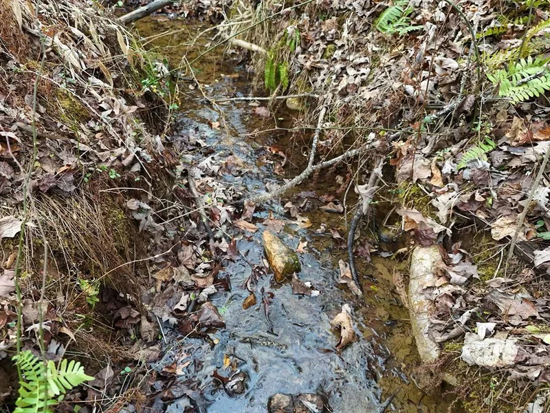 0 Dills Road, Blue Ridge, GA 30513, Blue Ridge, Georgia, United States. - Photo 12