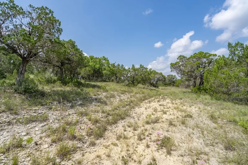 19705 Tyler Trail, Jonestown, TX 78645, Jonestown, Texas, United States. - Photo 8