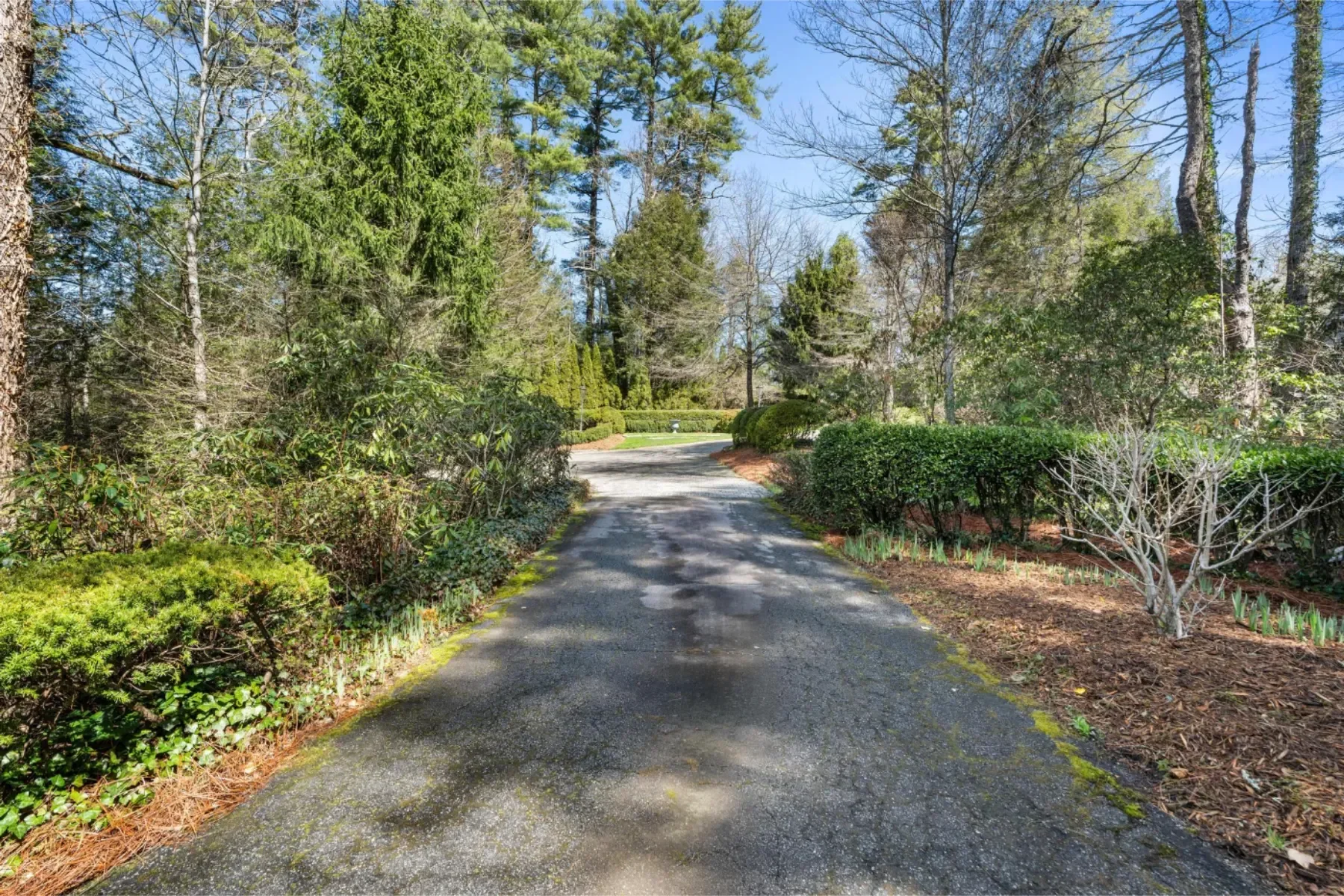 1671 Highway 107S, Cashiers, NC 28717, Highlands, North Carolina, United States. - Photo 46