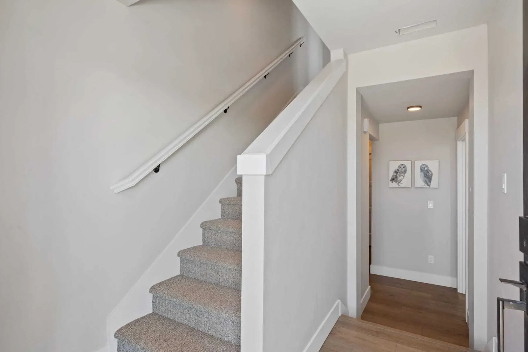 Gallery photo 6