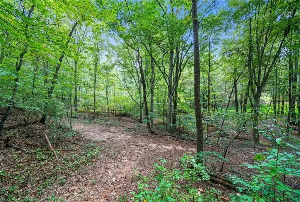 857 Jack Page Drive, Canton, Georgia, United States. - Photo 34