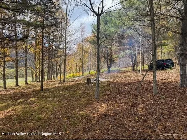 11400 New York 23 , Ashland, NY 12407, Windham, New York, United States. - Photo 23