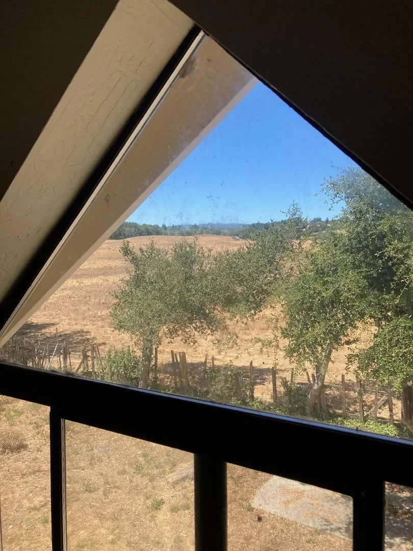 222 Highview Drive, Santa Cruz, California, United States. - Photo 18