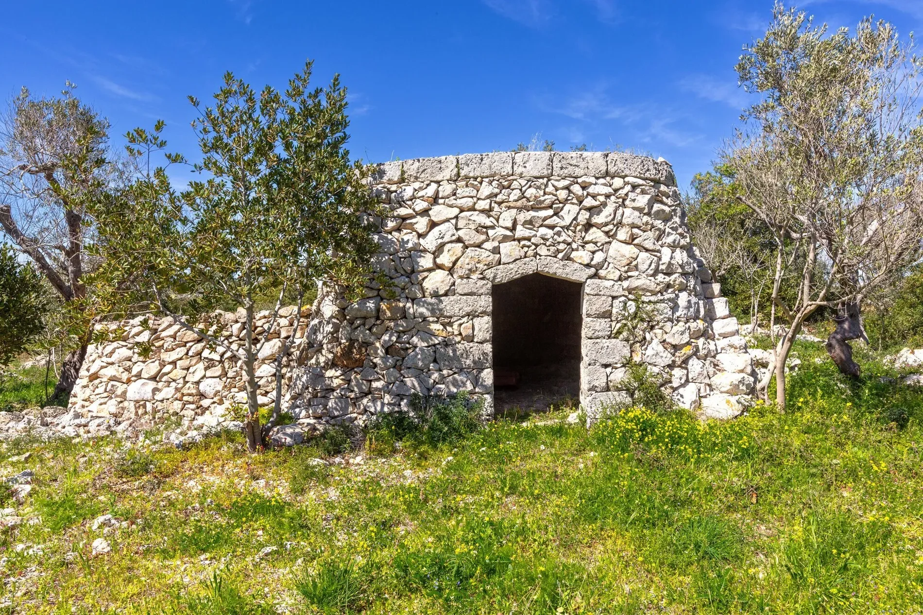 Exterior photo 11