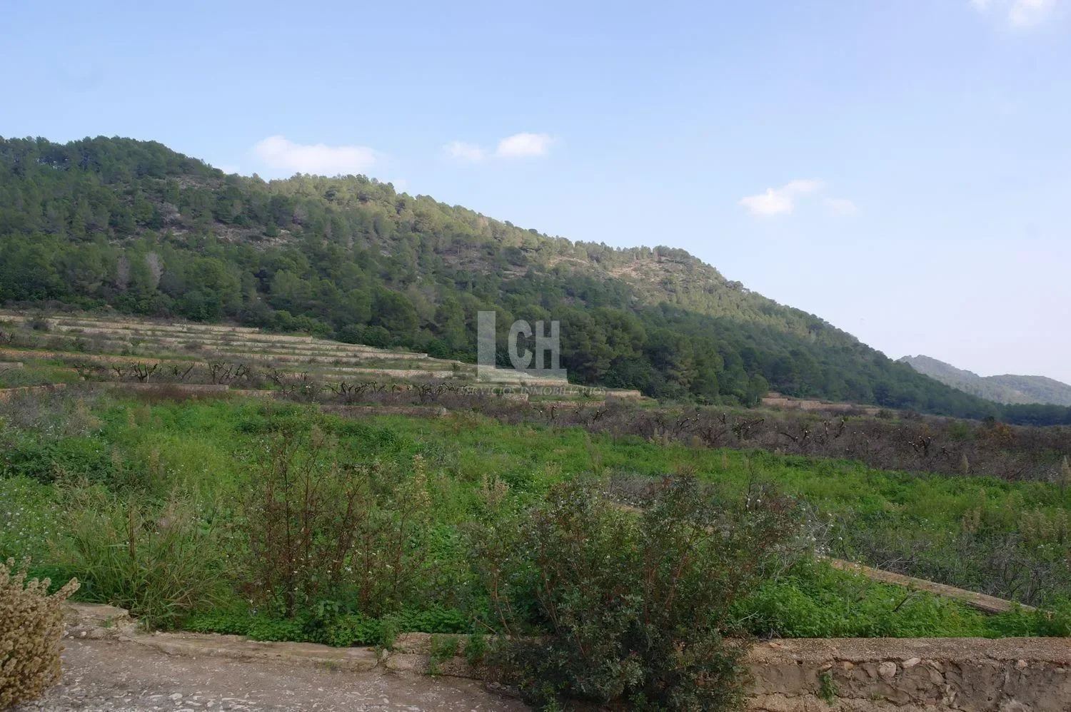 Favara, Valencian Community, Spain. - Photo 18