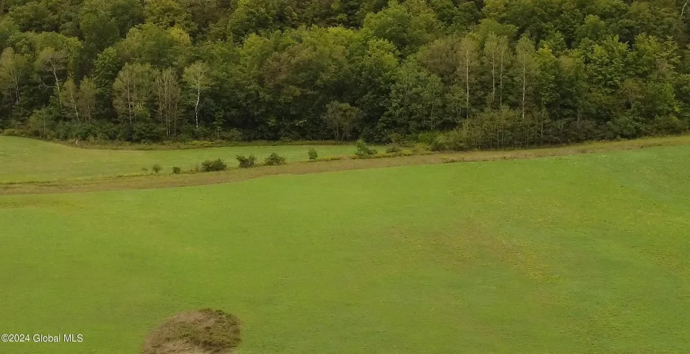 729 State Route 9N, Ticonderoga, New York, United States. - Photo 11