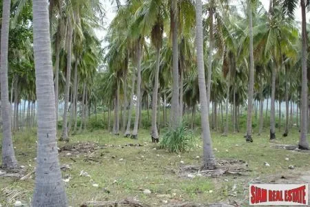 Krabi,, Pak Nam, Krabi, Thailand. - Photo 5