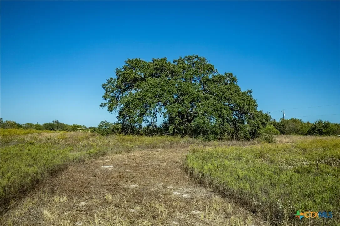 21123 Lamm Road, Elmendorf, TX 78112, Elmendorf, Texas, United States. - Photo 38