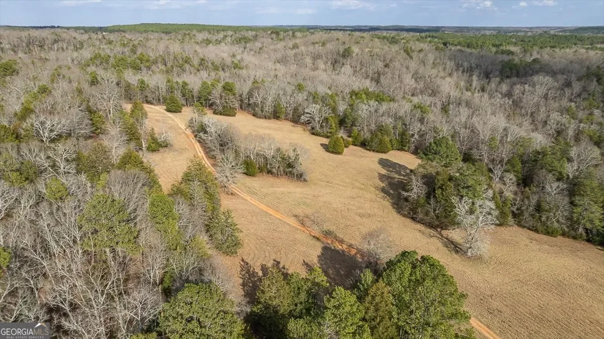 Bowman, Georgia, United States. - Photo 55