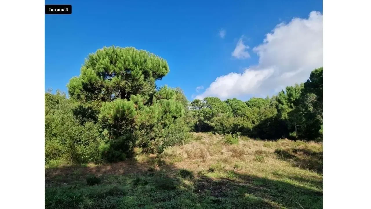 Praia das Maçãs, Lisboa, Colares, Lisbon, Portugal. - Photo 21